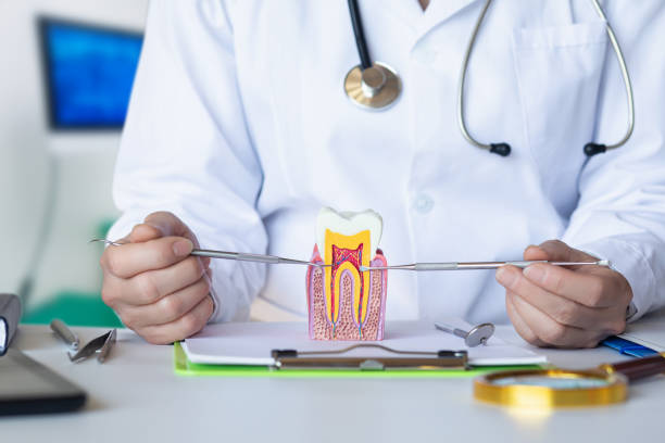 Best Emergency Root Canal Therapy in Parker City, IN